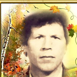 ���� ���, �����, 78 ��� - ��������� 14 �������� 2023