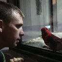 ���� ����, ������, 49 ��� - ��������� 28 ���� 2023 � ������ ���� ����������