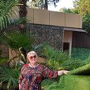 ���� �������, ��������� - ��������� 17 �������� 2023 � ������ ���� ����������