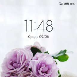 ���� ����, ������, 38 ��� - ��������� 7 �������� 2023