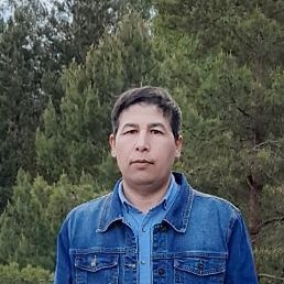 ����, �����-���������, 29 ���