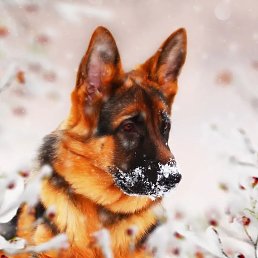 ���� �������, ������, 44 ���� - ��������� 17 ������� 2023