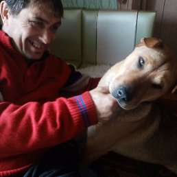 �����, ������, 55 ���