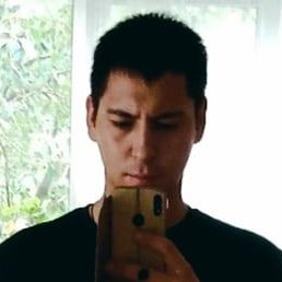 ����������, ������, 33 ����