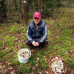 �����, �����-���������, 52 ����