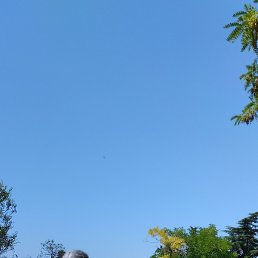 , , 53 