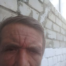 �������, ������, 66 ���