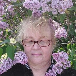 ����, ������, 61 ���