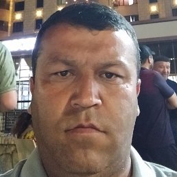 ����, �����, 43 ����