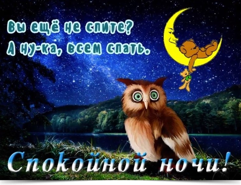 *** * *** * *** * *** * *** * ***