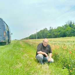 ������, ������-��-����, 47 ���