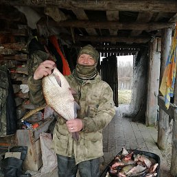 ���������, �����������, 47 ���