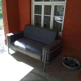 ���� ������� ������, �����, 42 ���� - ��������� 8 ��� 2023