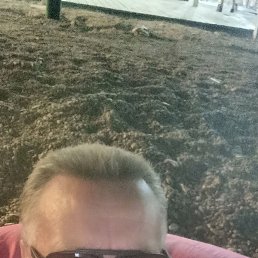 ��������, ������, 74 ����