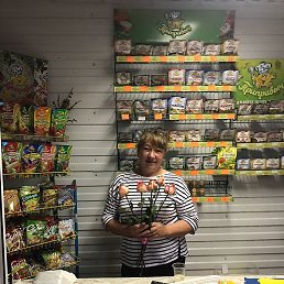 ���������, ������, 63 ����