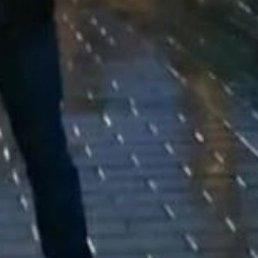 ������, ������, 55 ���