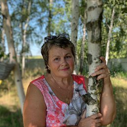 ���� ������, ������, 66 ��� - ��������� 16 ������� 2023