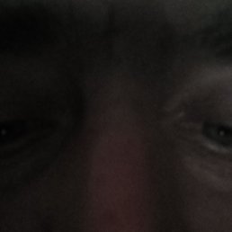 ����, �����������, 44 ����