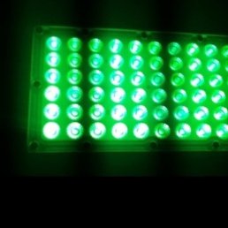 ���� ������, �����������, 46 ��� - ��������� 12 ������� 2023