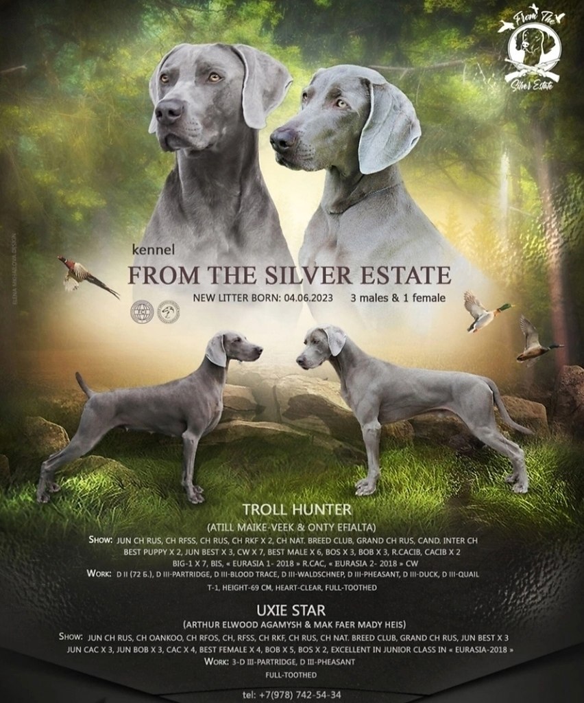  FROM THE SILVER ESTATE.     ().  2 ...