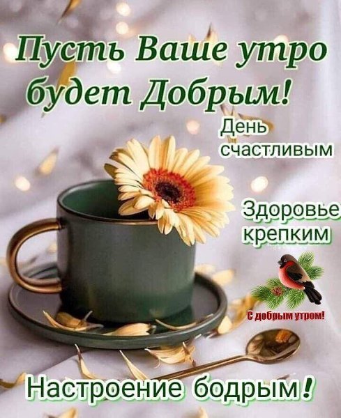 ***Victoria Viktorovna*** - 7  2023  02:44