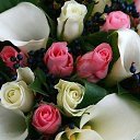 ���� ���������, ������, 74 ���� - ��������� 11 ��� 2023 � ������ ���� ����������