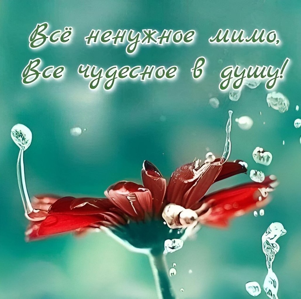 - - - - - - - - - - - - - - - - - - - - - - - - -