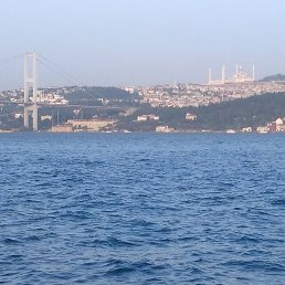 Elin, ����, 53 ����