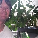 ���� Milan, ����, 60 ��� - ��������� 27 ���� 2023 � ������ ���� ����������