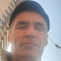 ����, �����-���������, 48 ���