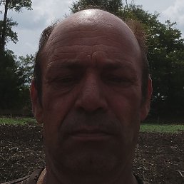 , , 50 