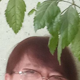 ��������, �������, 67 ���