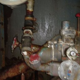 ������, ������, 55 ���