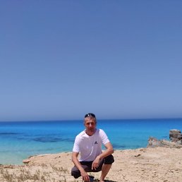 �����, �������, 42 ����