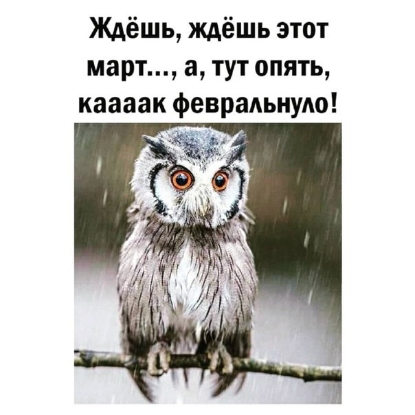   - 13  2023  20:44