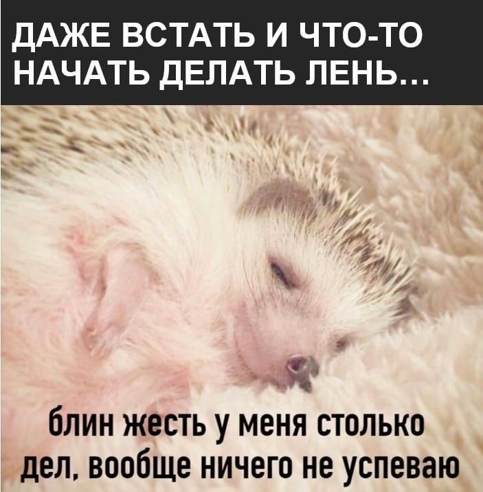    - 27  2023  16:43