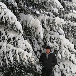 ���������, ������, 50 ���