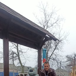 ���� �������, �����������, 41 ��� - ��������� 23 ������� 2023