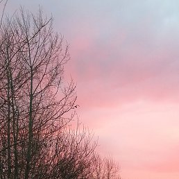 ����, ����������, 21 ���