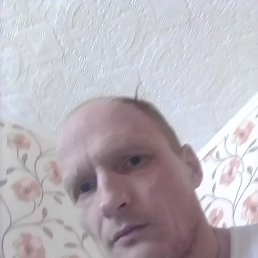 �����, ����, 41 ���