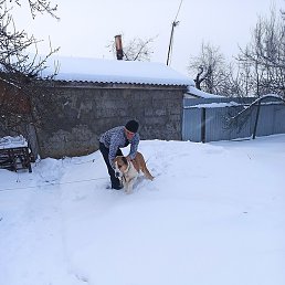 ����, ����, 41 ���