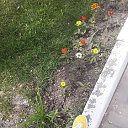 ���� ������ ������, ���������, 32 ���� - ��������� 21 ��� 2023 � ������ ���� ����������