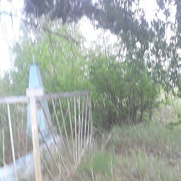 ���� ����, ���������, 68 ��� - ��������� 1 ������� 2023