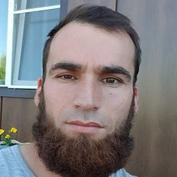 �����, �����-���������, 37 ���