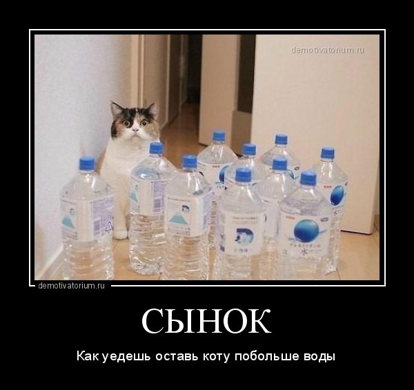  - 23  2023  11:17