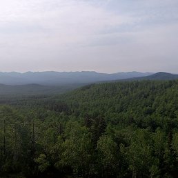 �������, ������, 51 ���