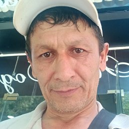 �����, �������, 51 ���