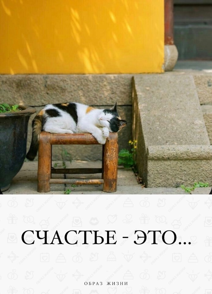 Счастье — это термин, который объясняет сам себя. Возможно, это народная этимология, но «счастье» — ...