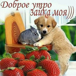 ������, �������, 42 ����