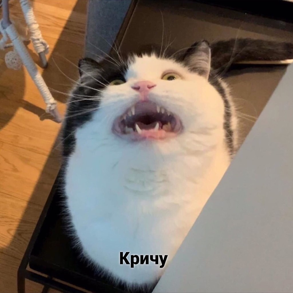    ? - 6